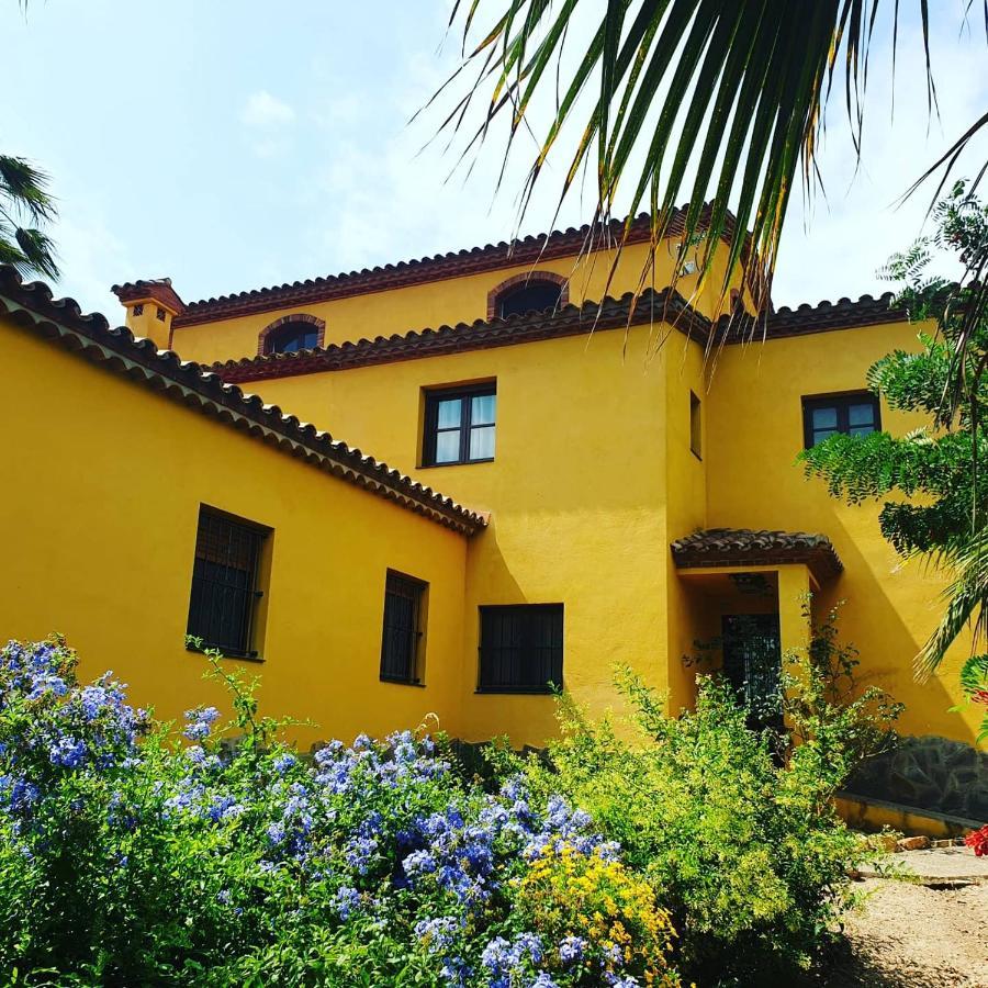 Masia Castellvi B&B Винольс-и-Арчс Экстерьер фото