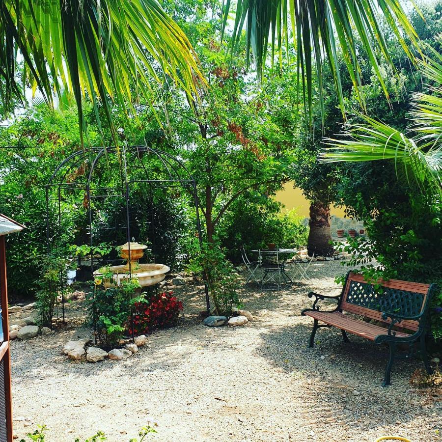 Masia Castellvi B&B Винольс-и-Арчс Экстерьер фото